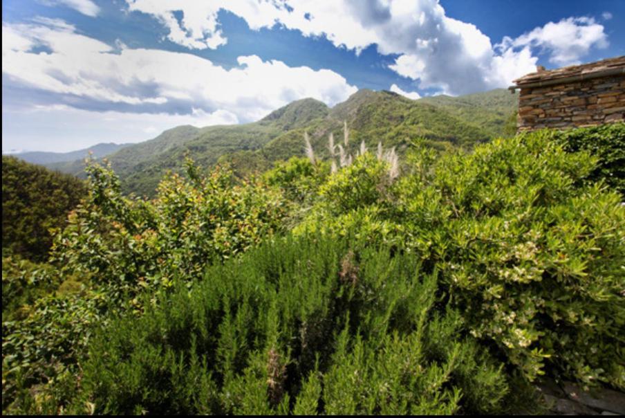 Casa Costa - Ruhe Und Natur Pur Carpasio المظهر الخارجي الصورة